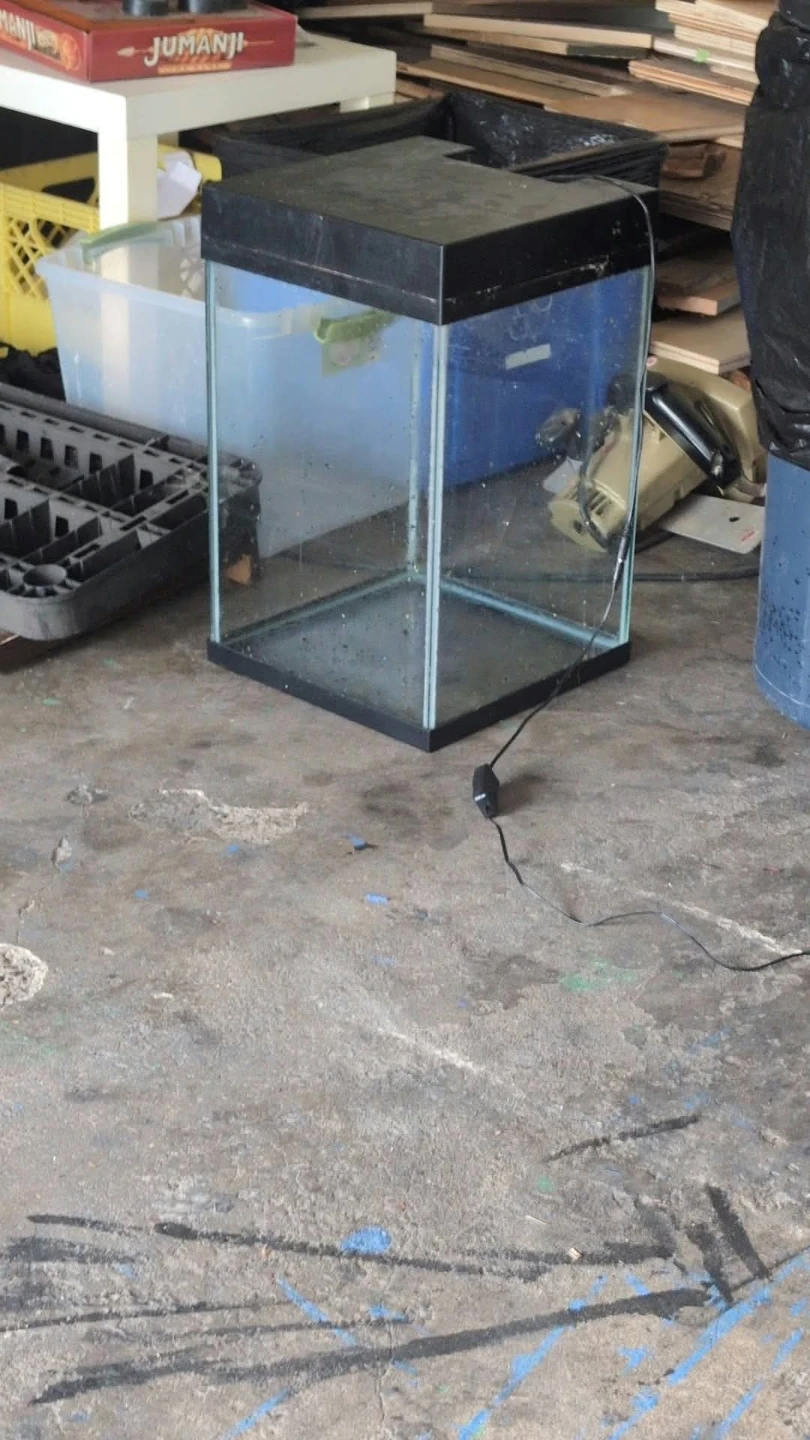 15 gallon tall fish tank