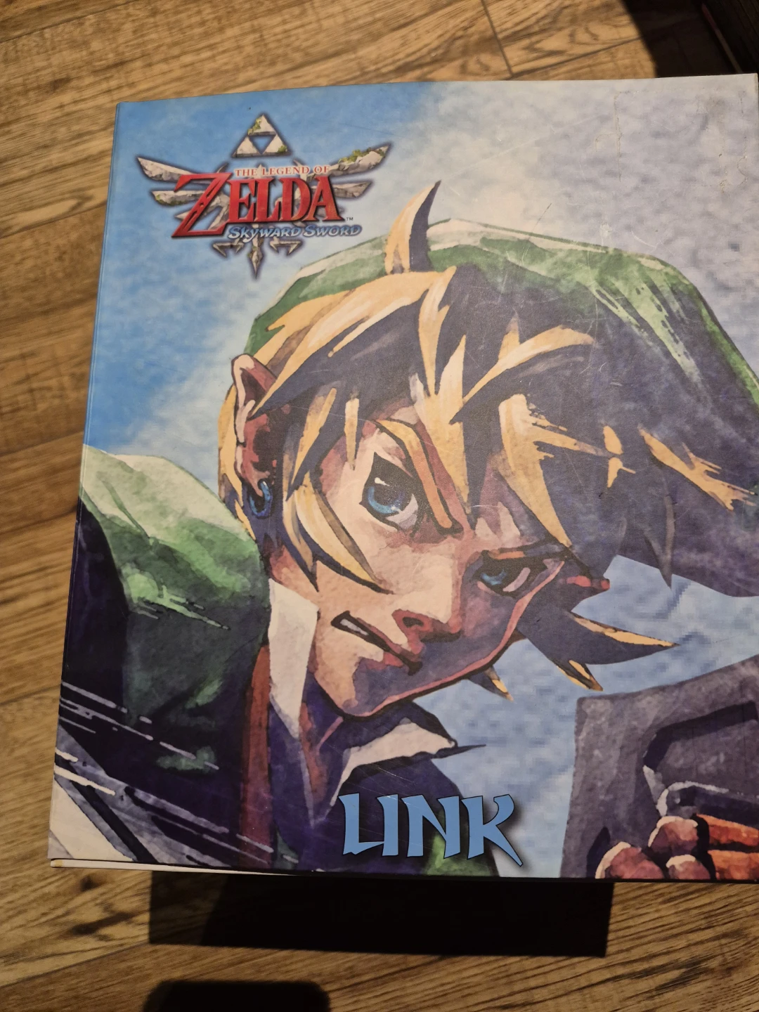The Legend of Zelda Skyward Sword Link Figure