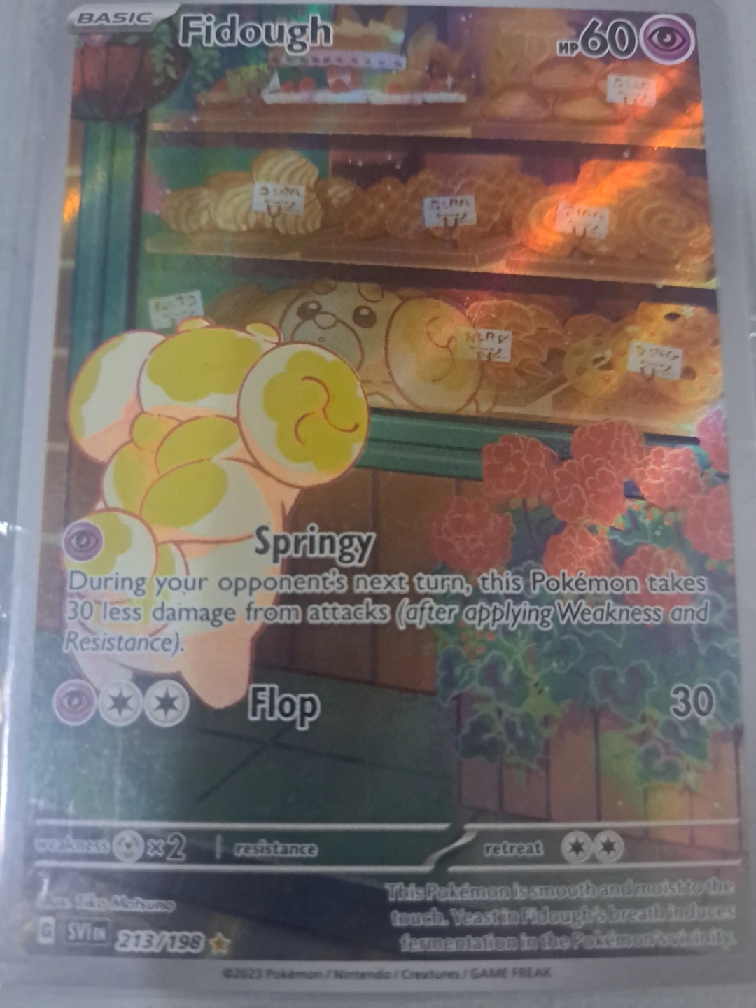 Fidough Pokemon Trading Card