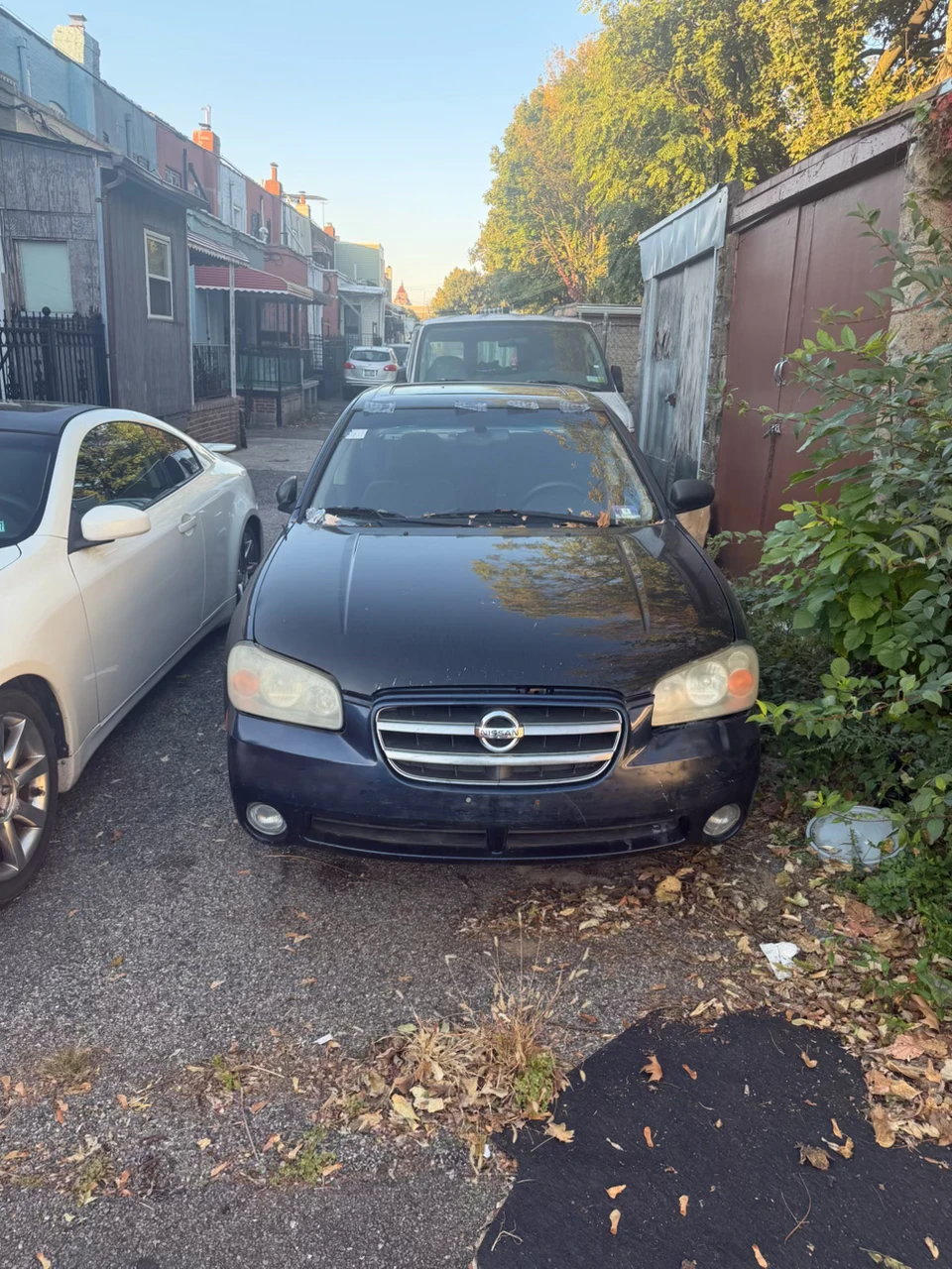2003 Nissan Maxima Classic