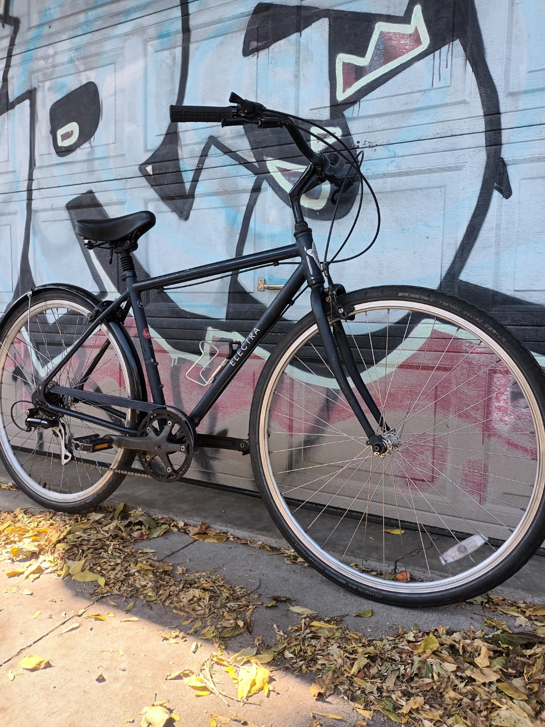 Electra Bike