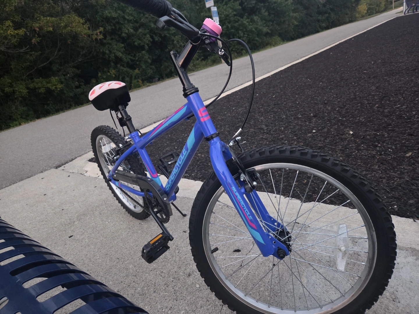 Supercycle Charge Bike - Moving Out Sale - photo 3