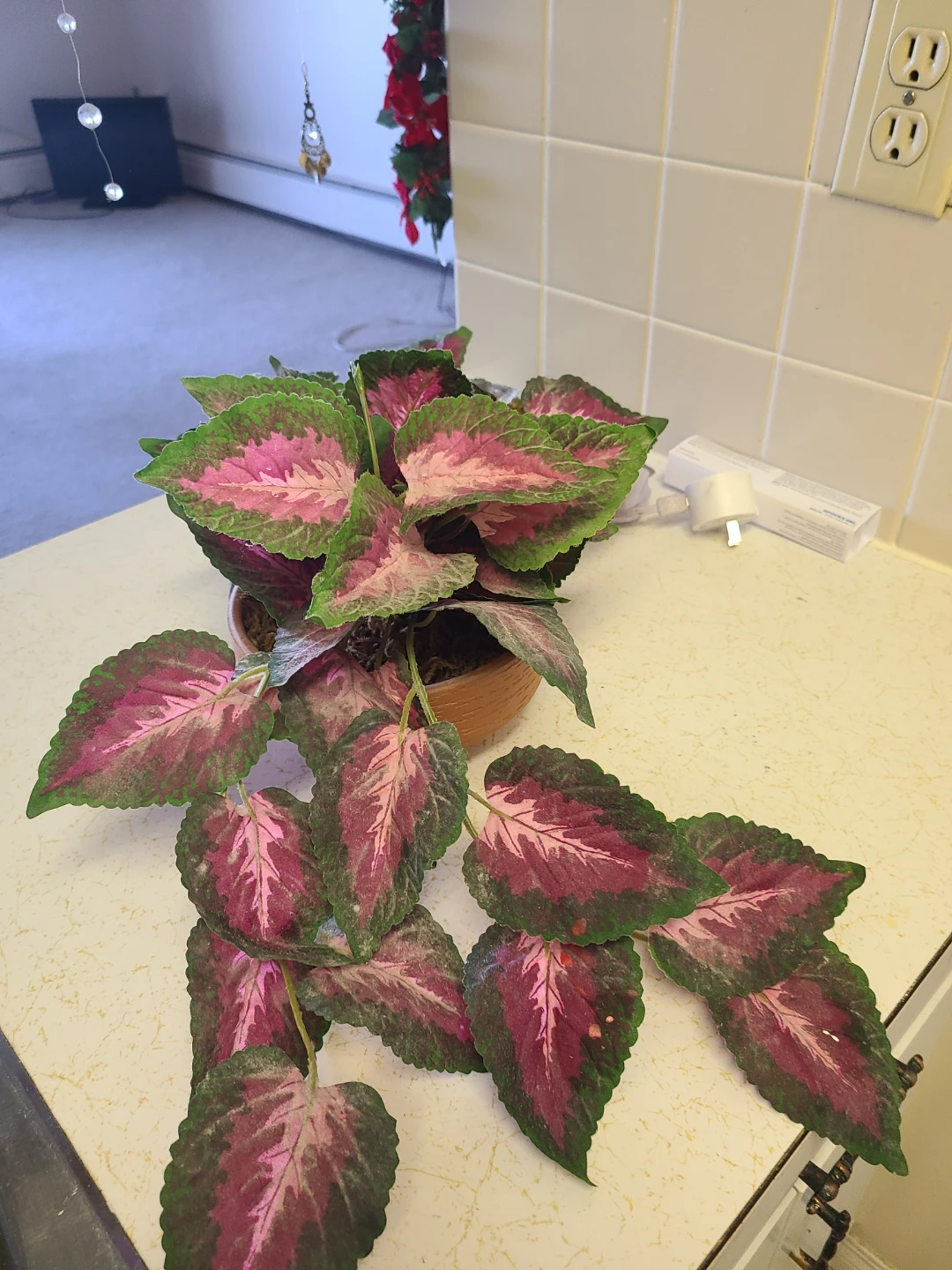 Artificial Coleus Plant in Mustard Pot