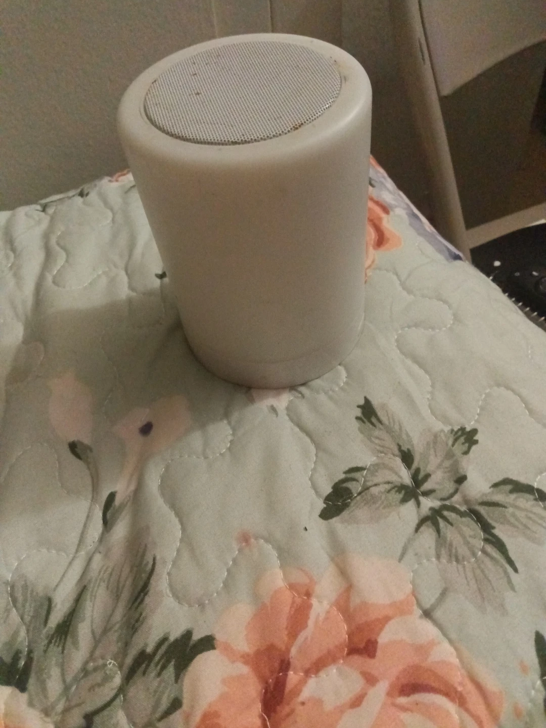 White Portable Bluetooth Speaker