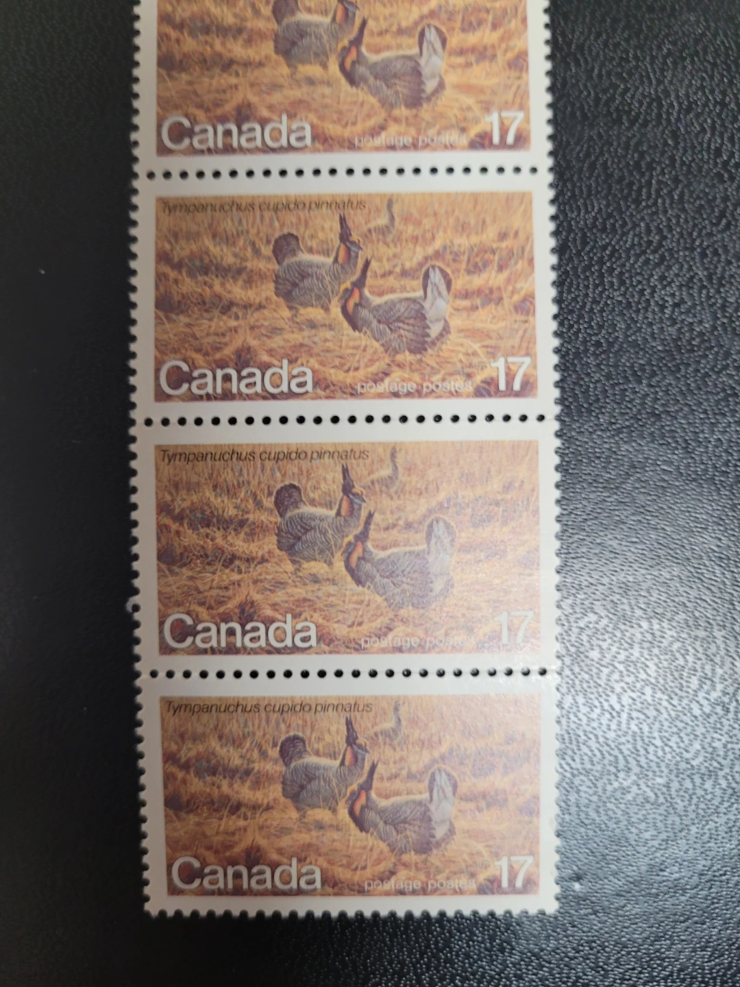 9 Vintage 17 Cent Canada Postage Stamps - photo 2
