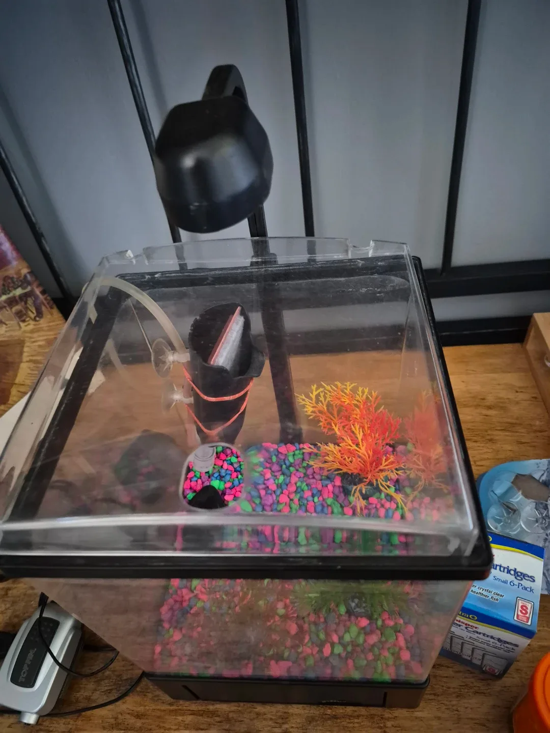 Top Fin Aquarium Tank Setup - photo 3