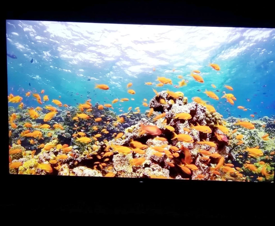 SONY 65" 4K UHD HDR ANDROID SMART LED TV *WITH X1 PROCESSOR* - photo 4