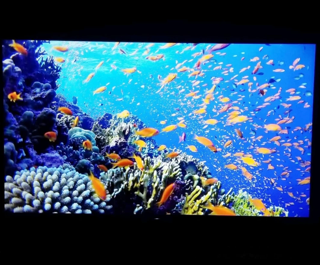 SONY 65" 4K UHD HDR ANDROID SMART LED TV *WITH X1 PROCESSOR* - photo 5