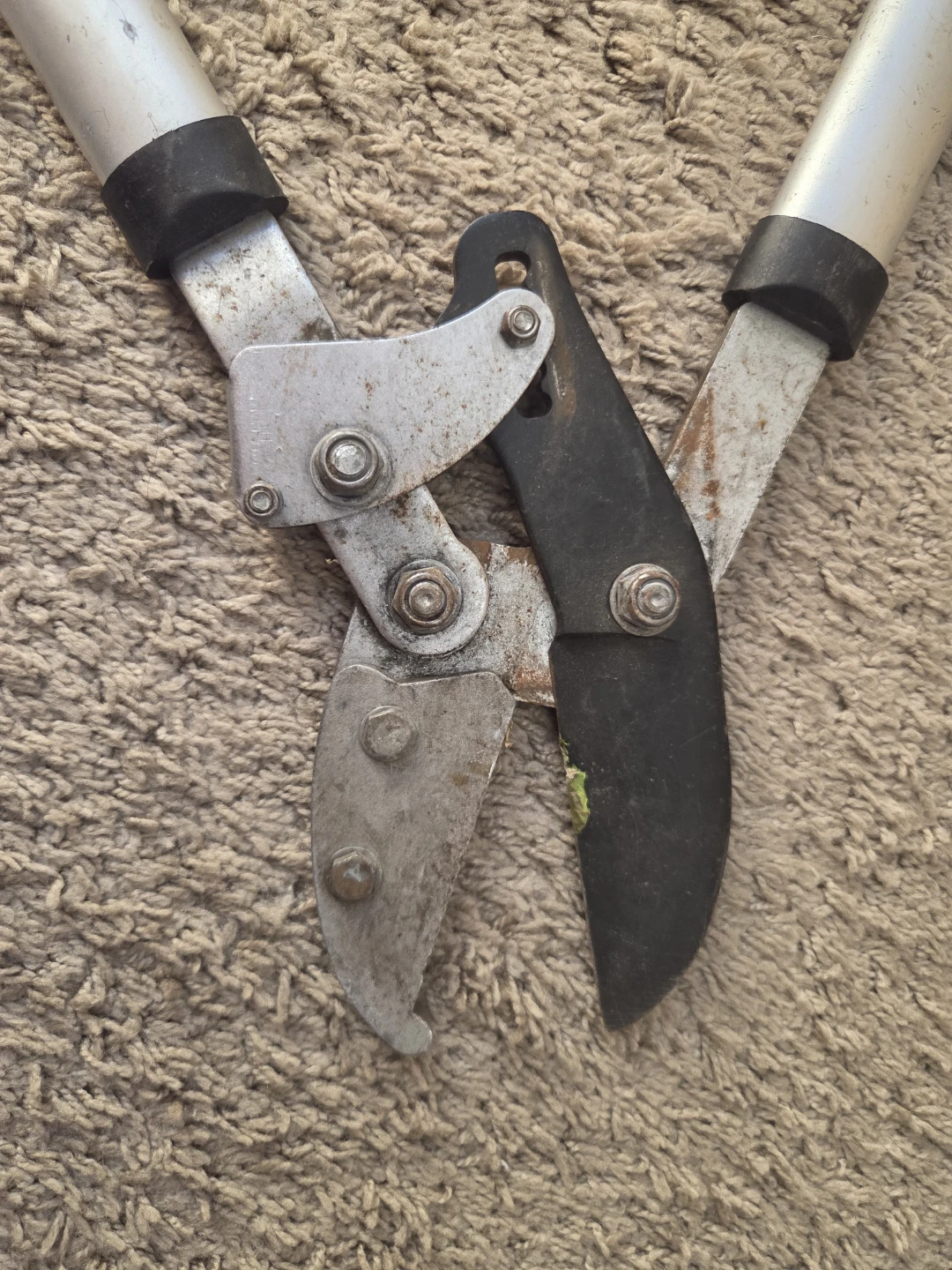 GARDEN LOPPERS - photo 2