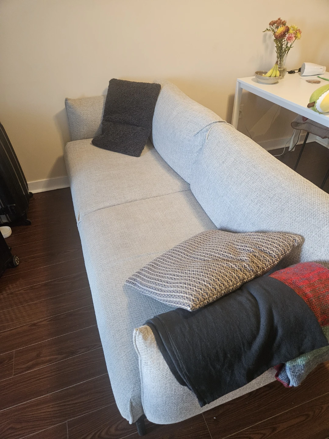 Modern light grey sofa + 2 cushions.