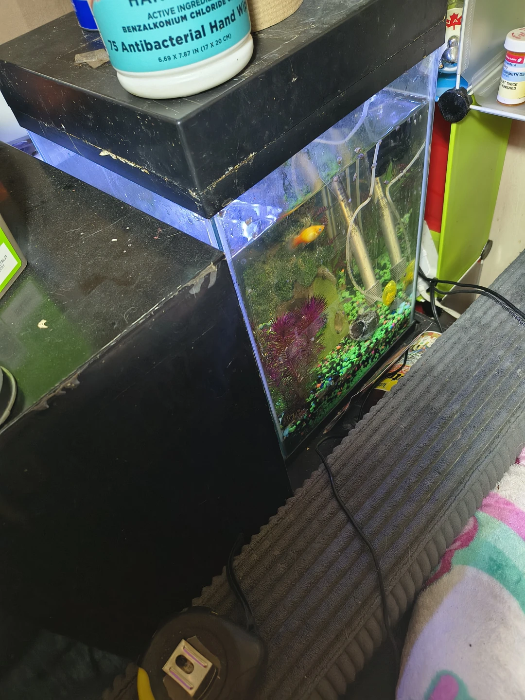 Top Fin 10 Gallon Aquarium Starter Kit tall