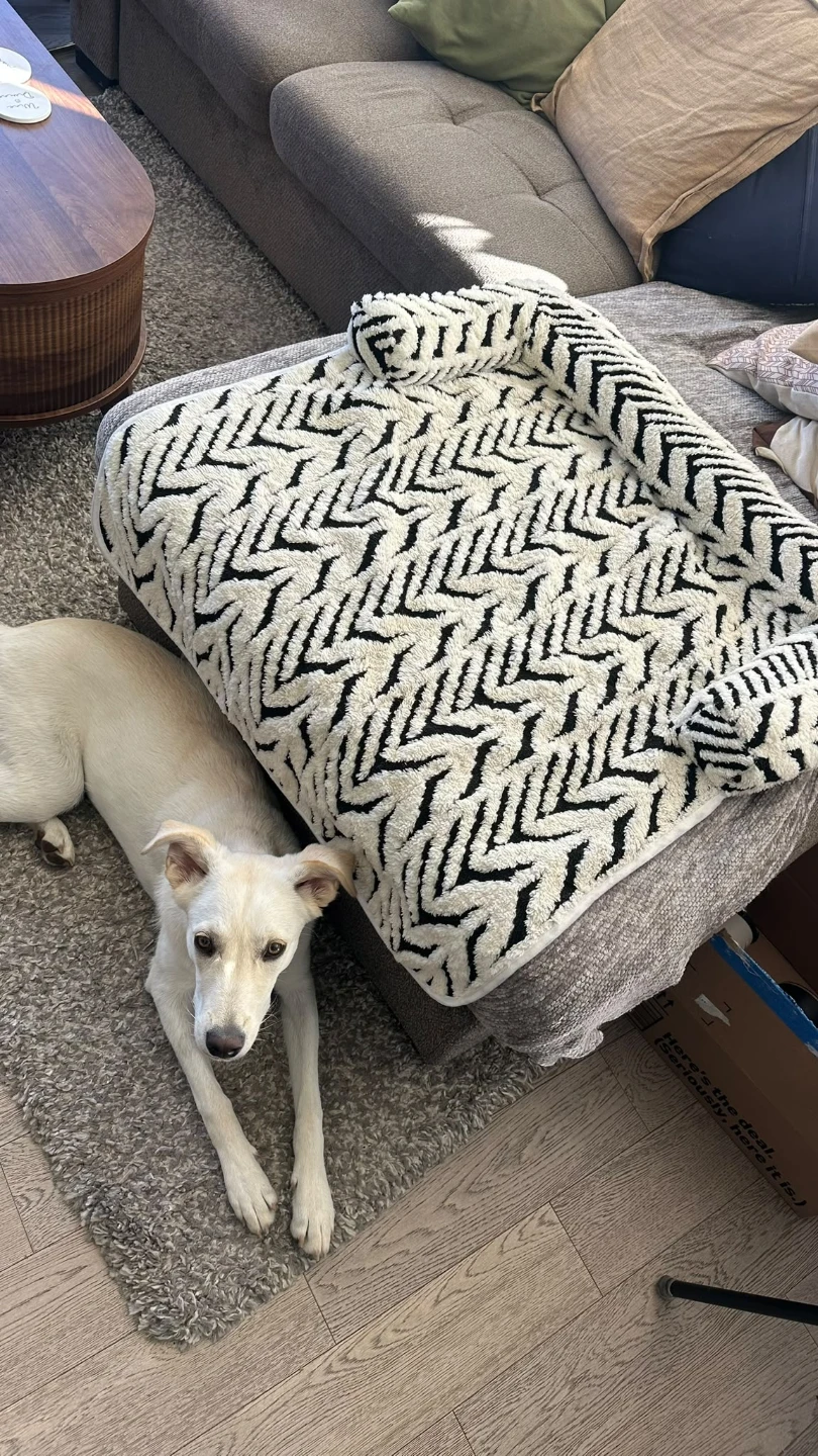 Plush Dog Sofa Protector Cover - photo 3