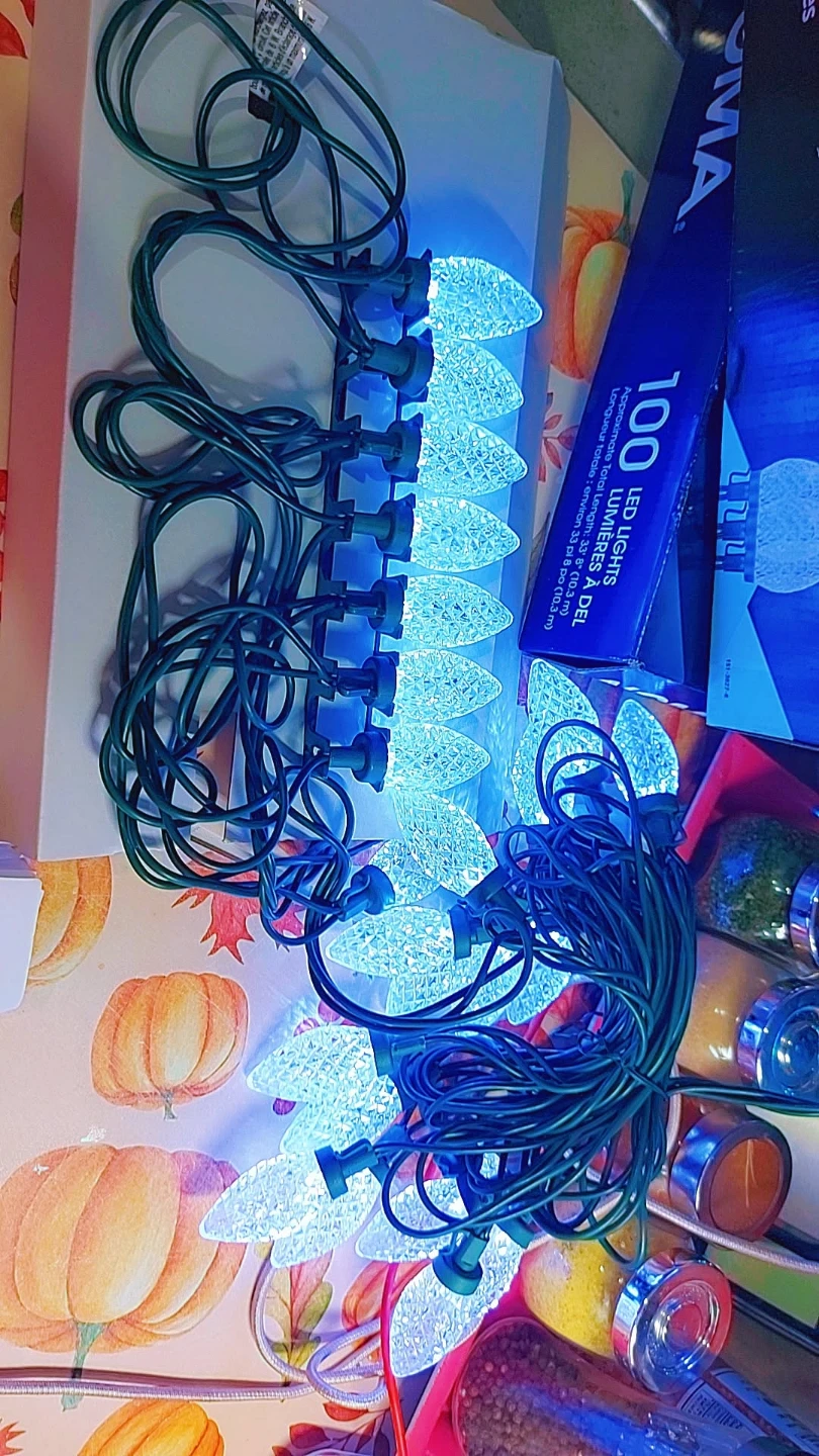 NOMA Indoor/Outdoor LED String Lights - photo 2
