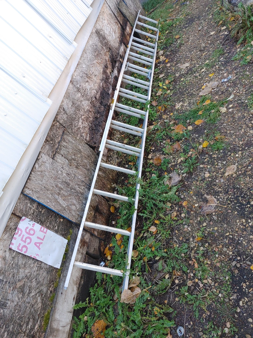 Aluminum Extension Ladder