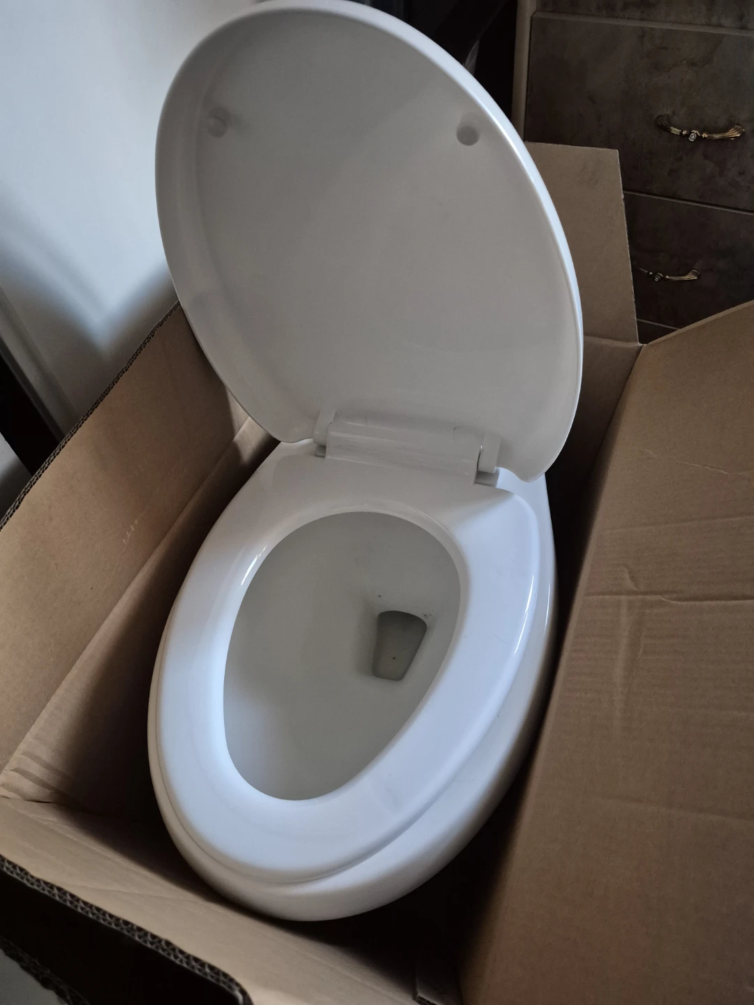 White Toilet Bowl with Seat