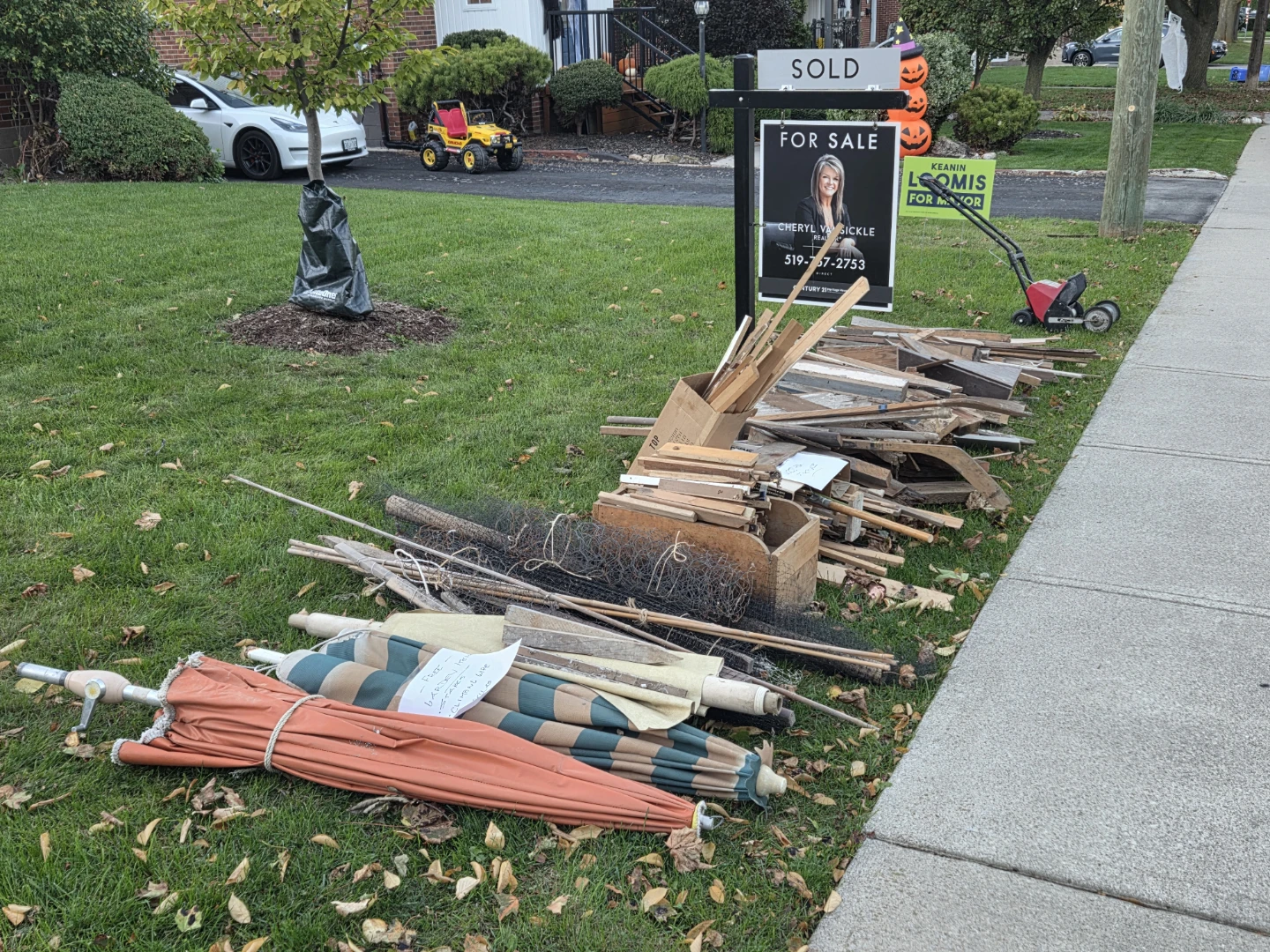 Free Wood and Garden  Items on our front lawn