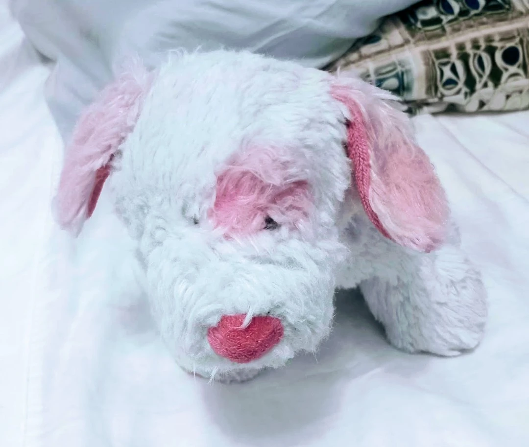 Rare HTF Webkinz Cream Soda Pup Ganz Retired.