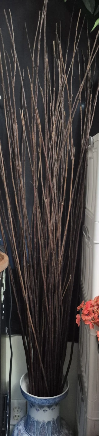 Decorative Dried Willow Branches - photo 2