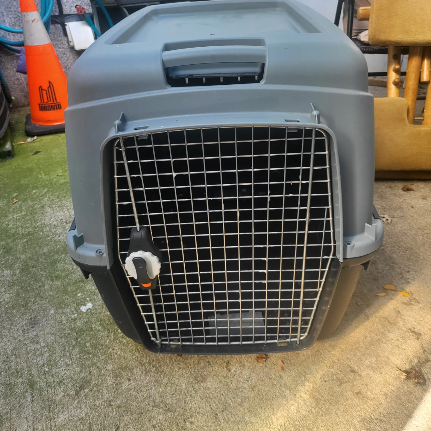 Large Pet Travel Carrier