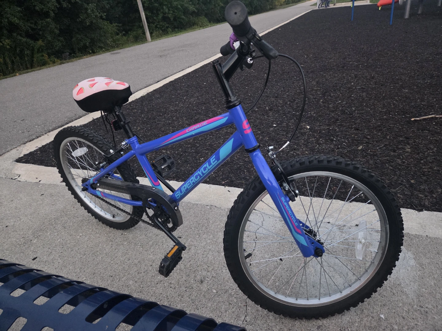 Supercycle Charge Bike - Moving Out Sale - photo 2