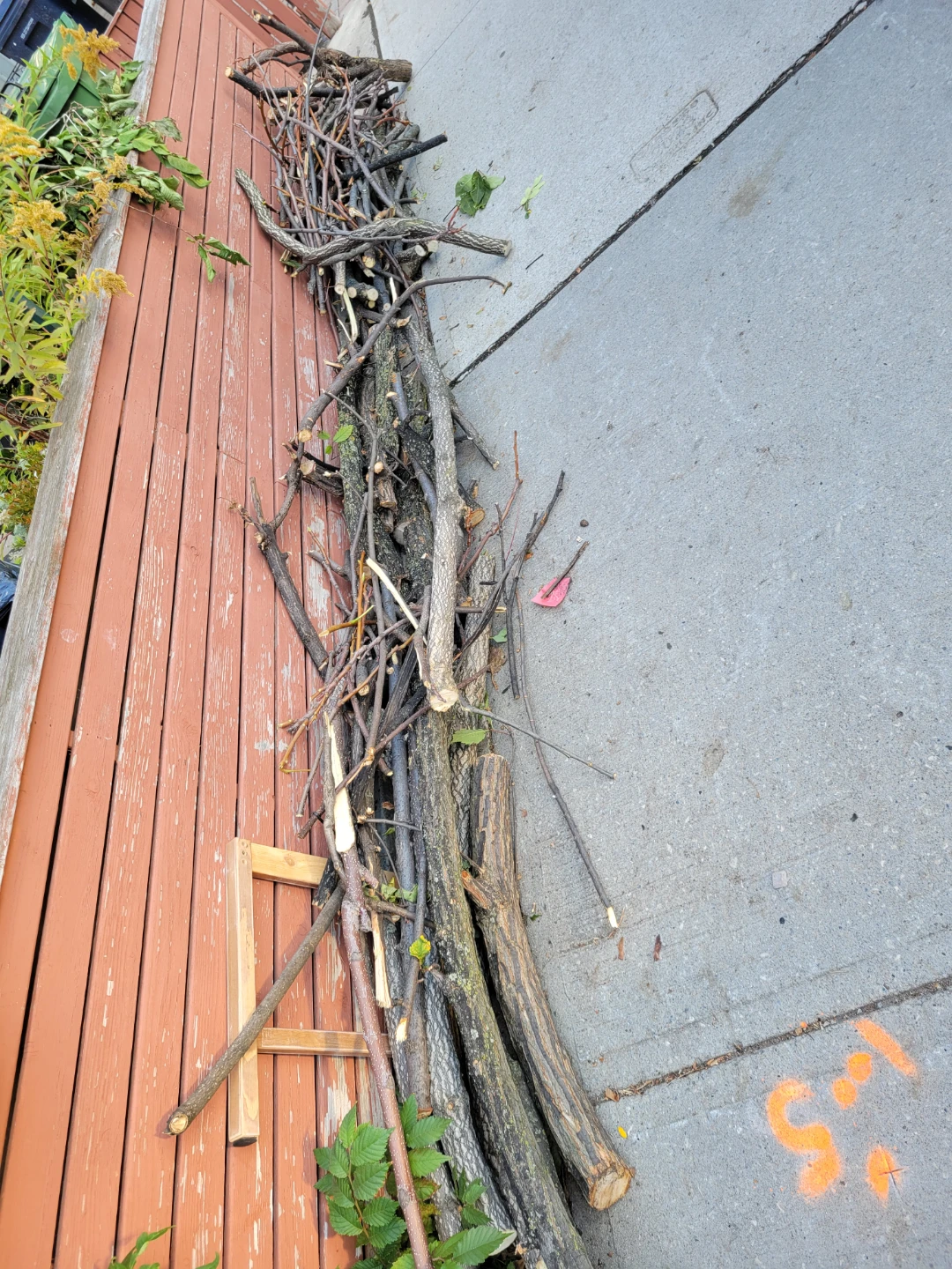 Firewood and tree branches wood log