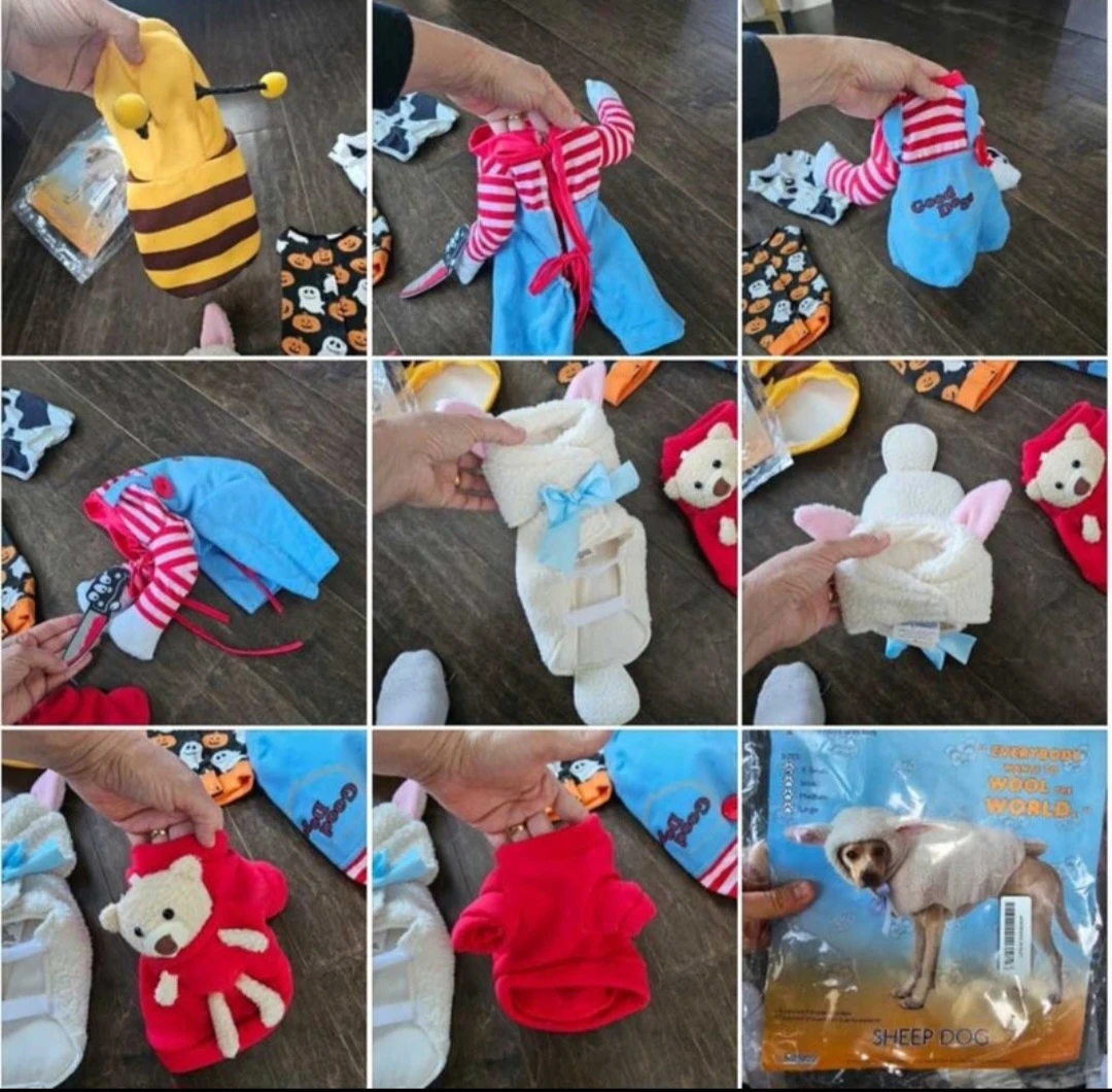 Assorted Pet Halloween Costumes, each $15 - photo 3