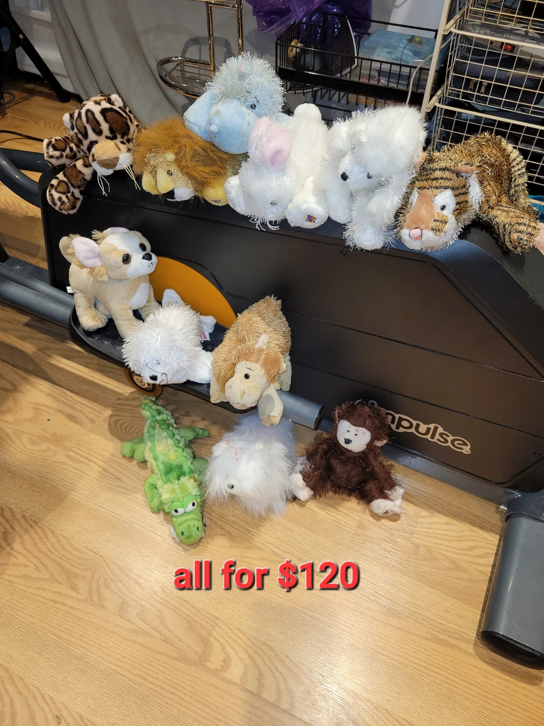 Collection of Ganz Webkinz Plush Toys