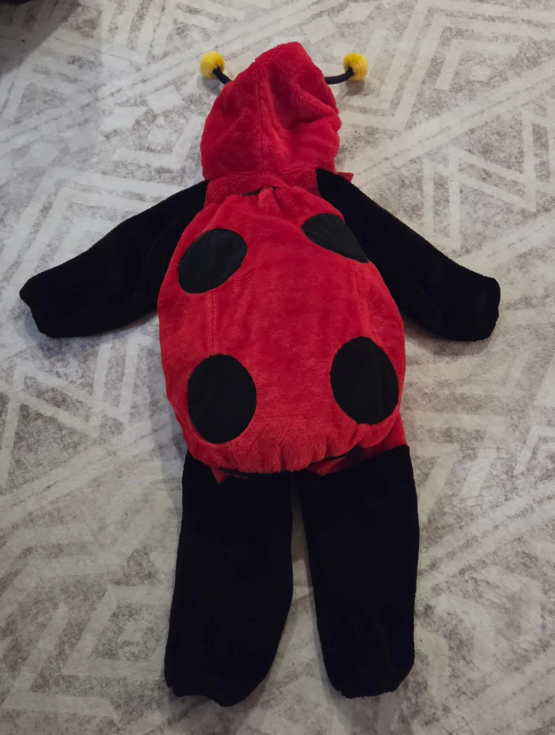Ladybug costume