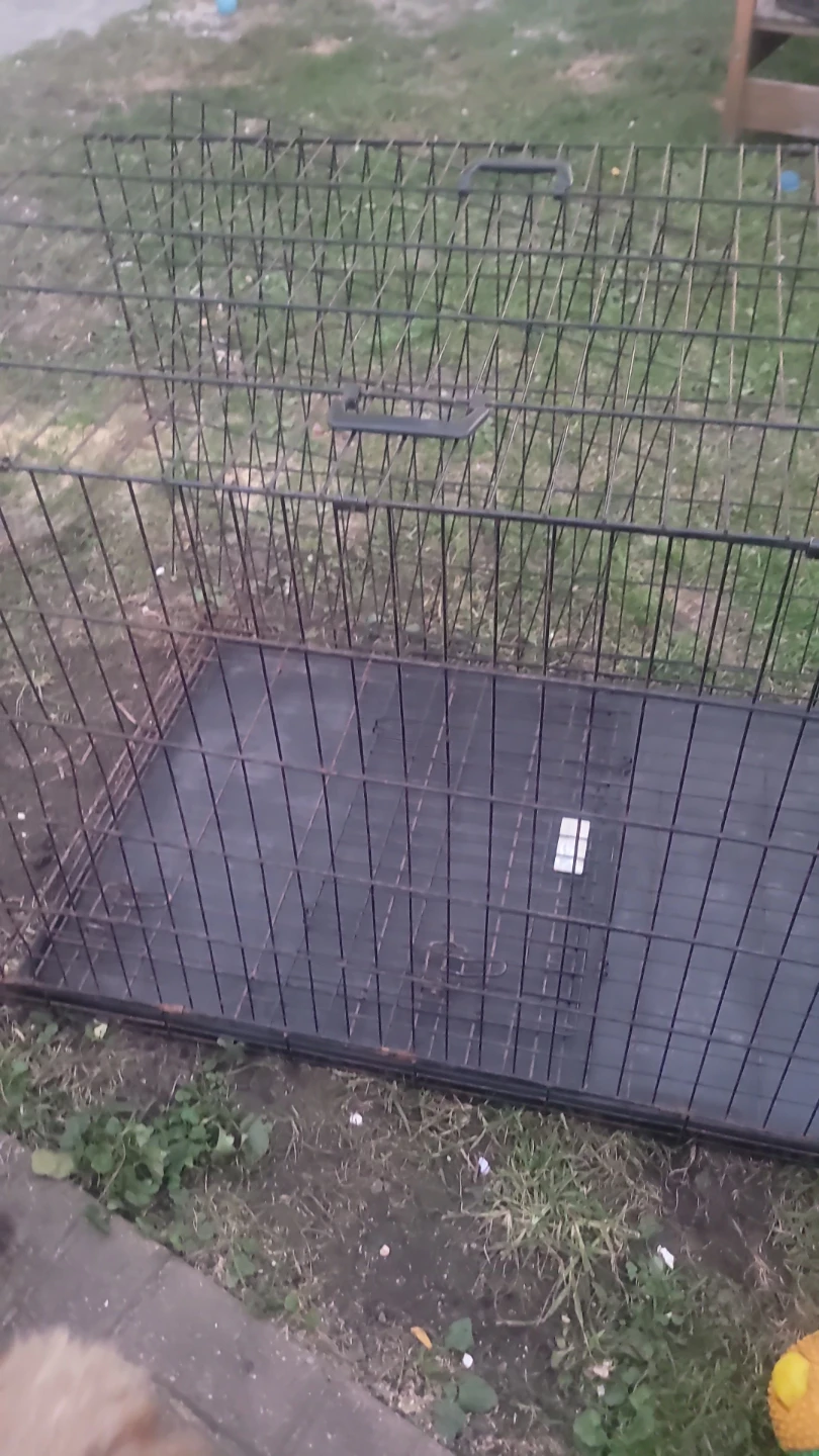 Large Collapsible Metal Dog Crate - photo 2