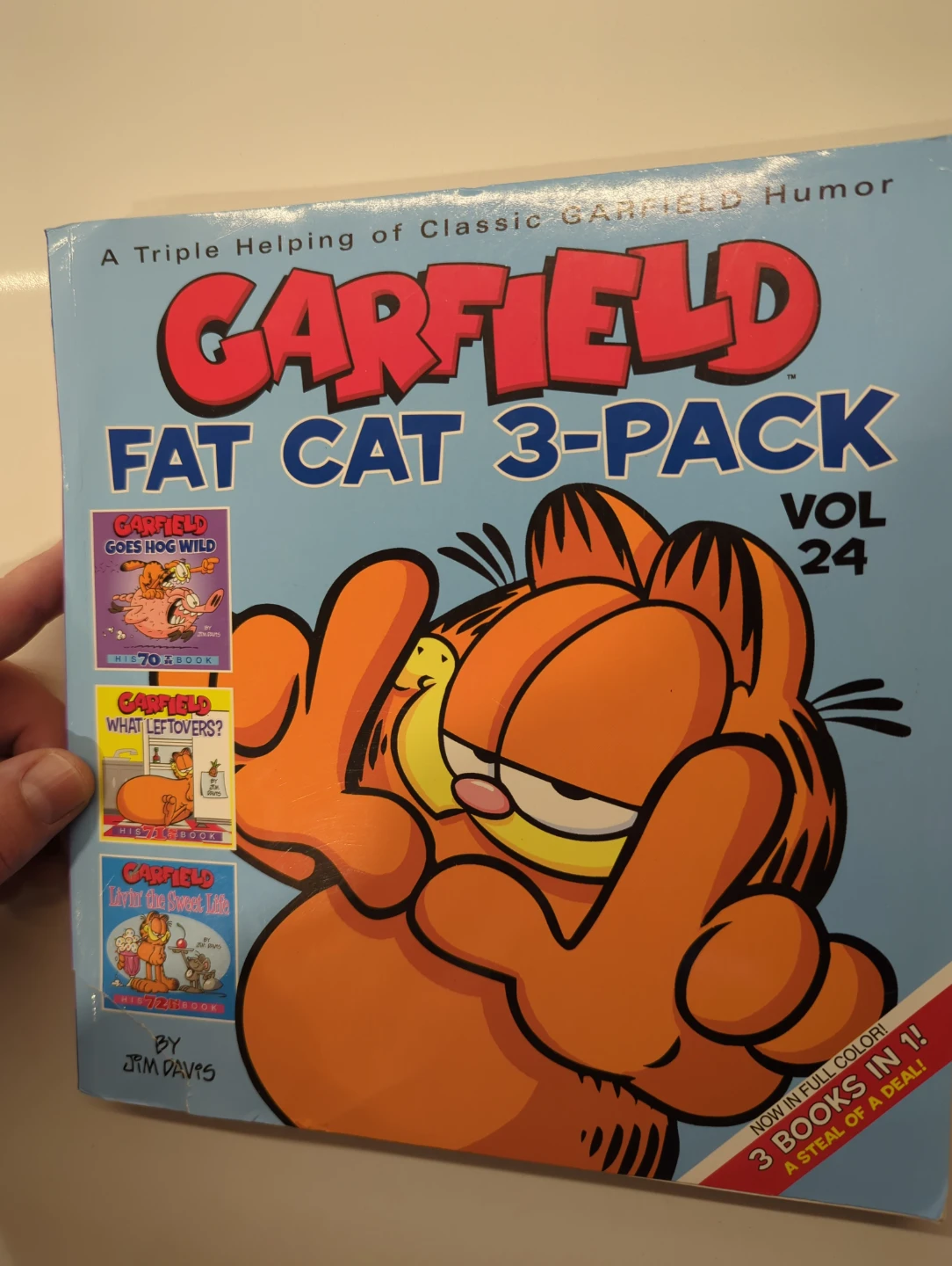 Garfield Fat Cat 3-Pack Vol 24