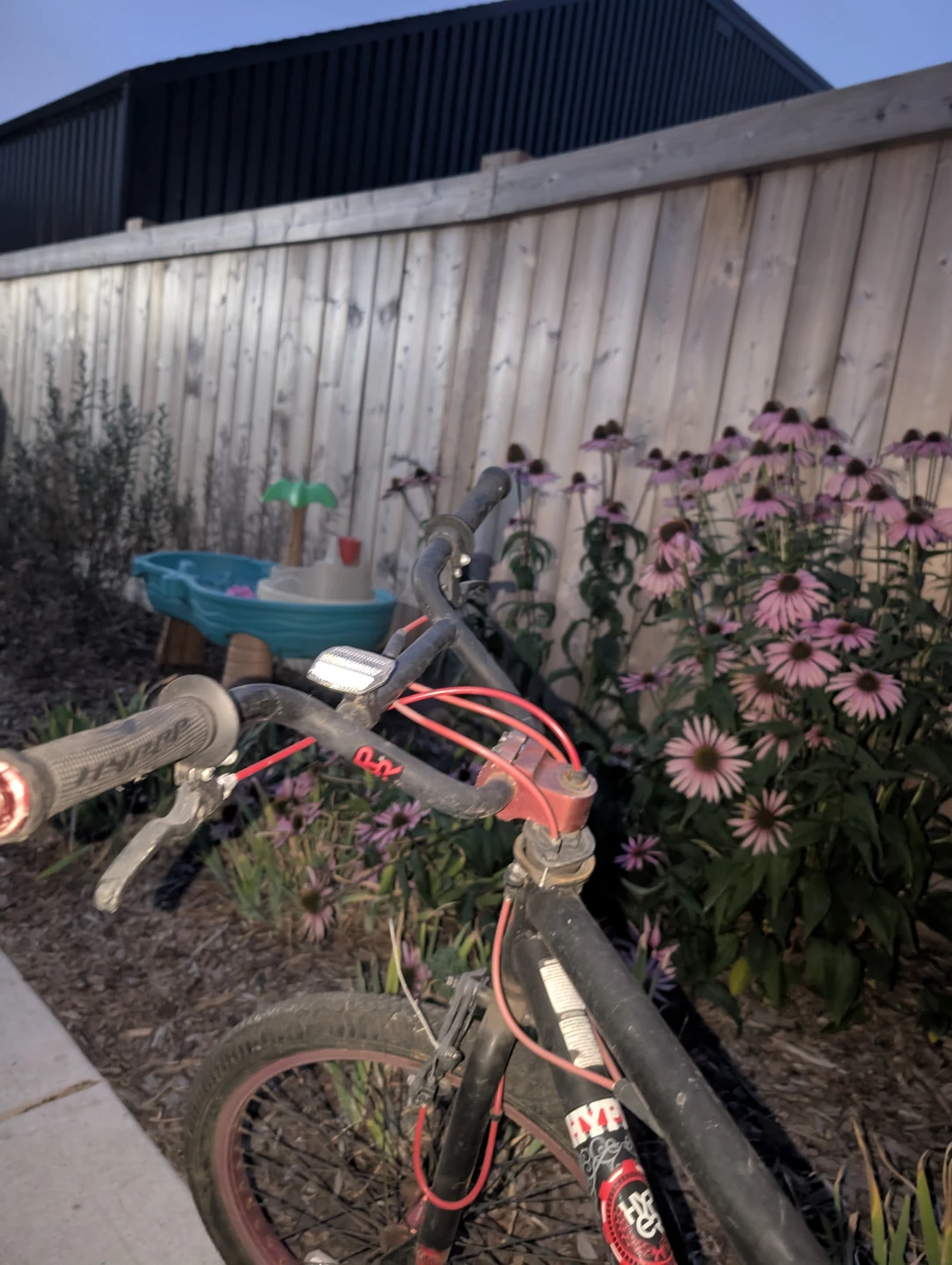 bmx - photo 2