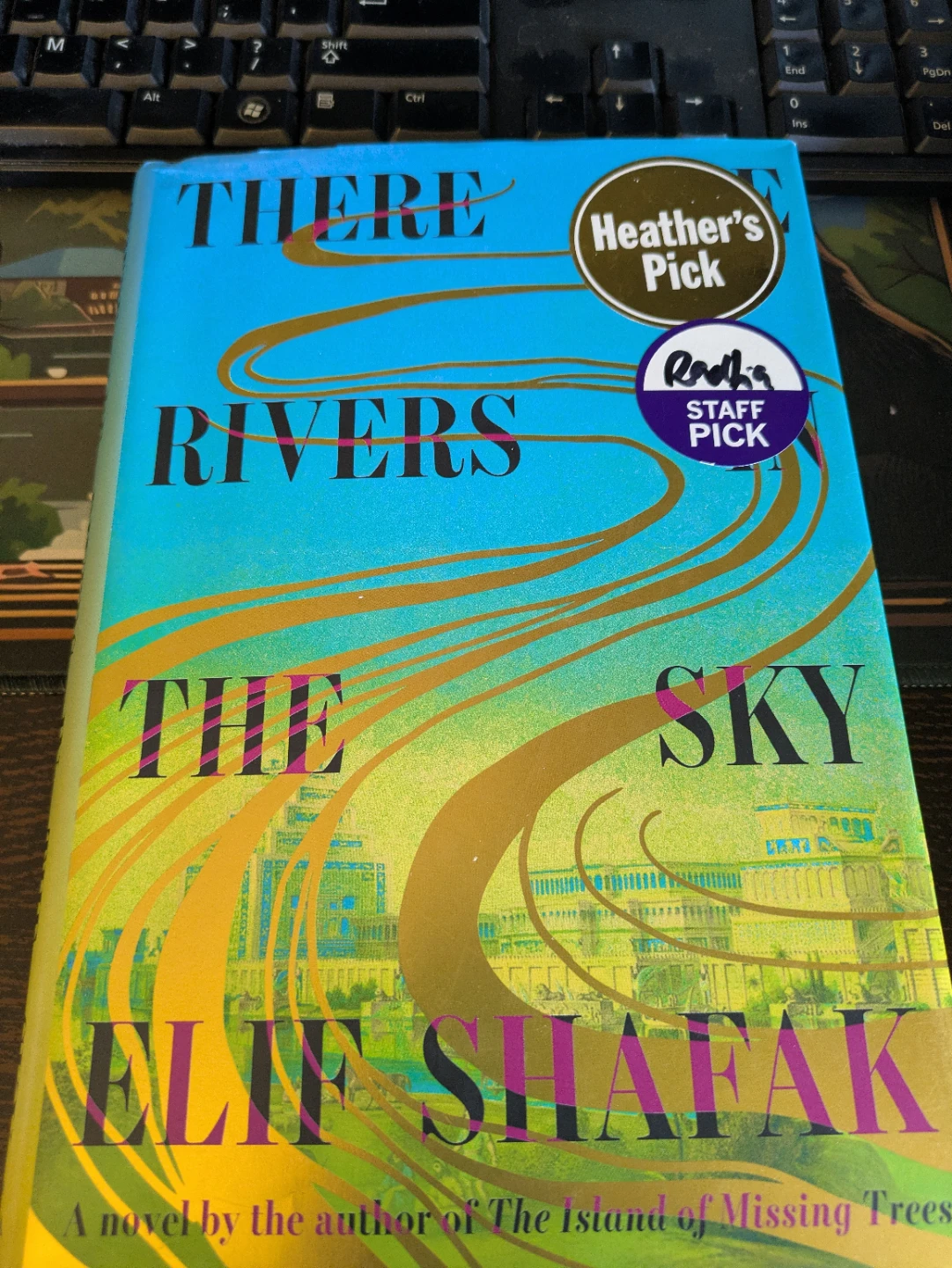 There Are Rivers in the Sky by Elif Shafak