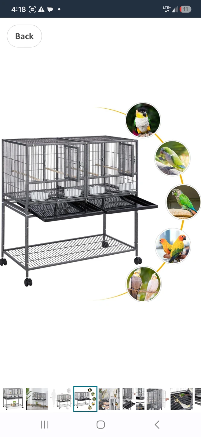 Double bird cage with divider . - photo 3