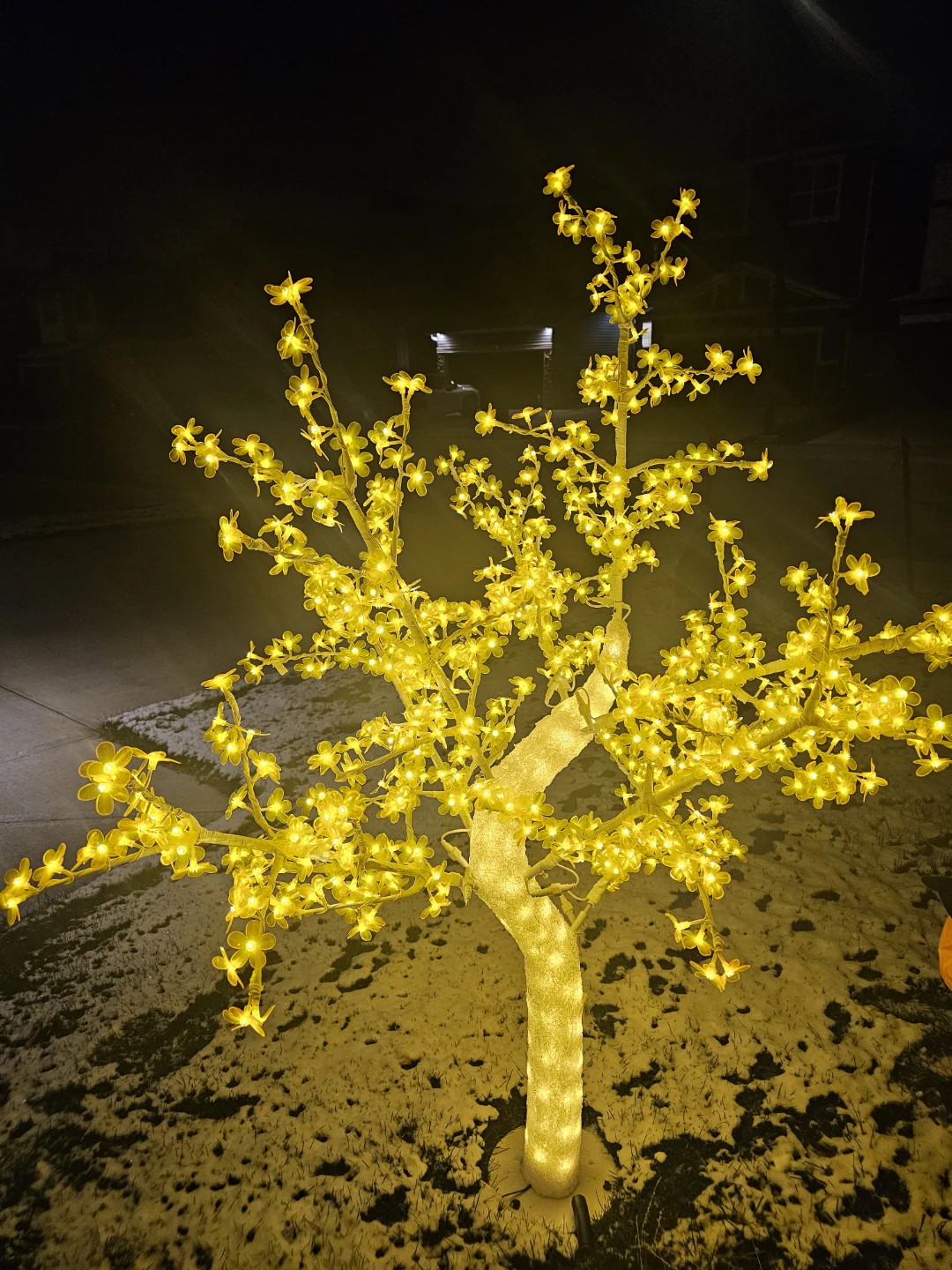 LED Blossom Tree Light