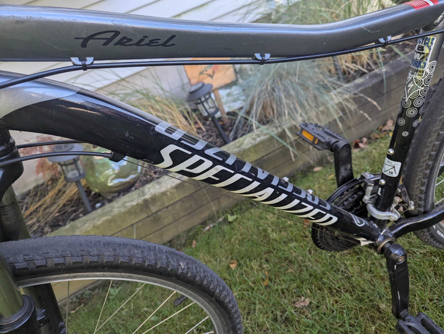 Bike. Specialized L frame. - photo 2