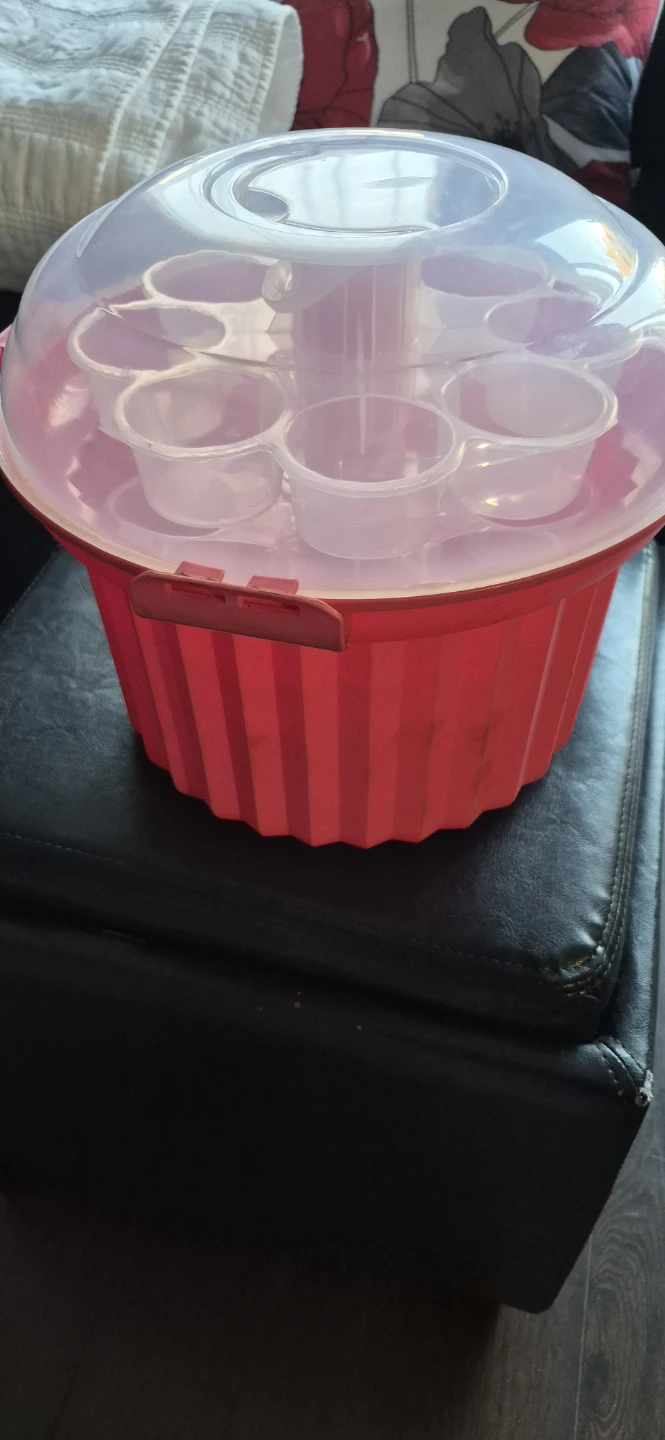 Cupcake Carrier and Display