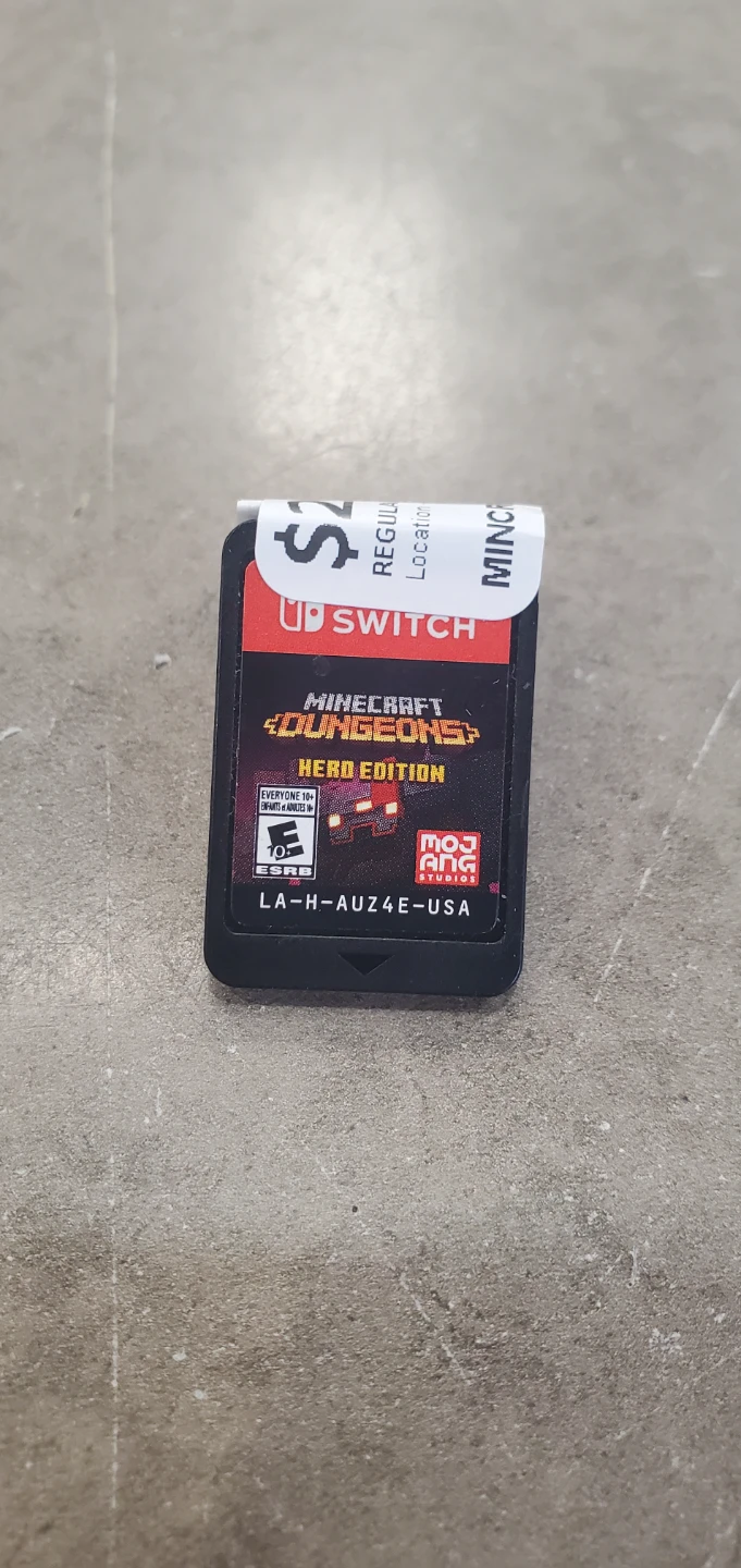 Minecraft Dungeons Hero Edition for Nintendo Switch