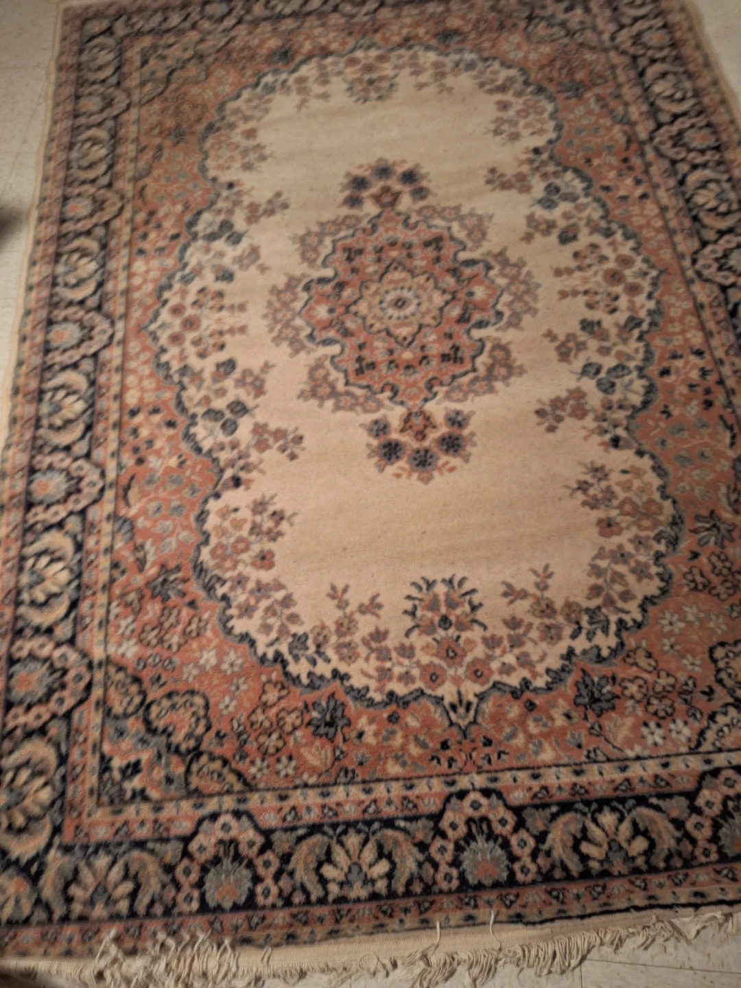 Traditional Persian-style Area Rug