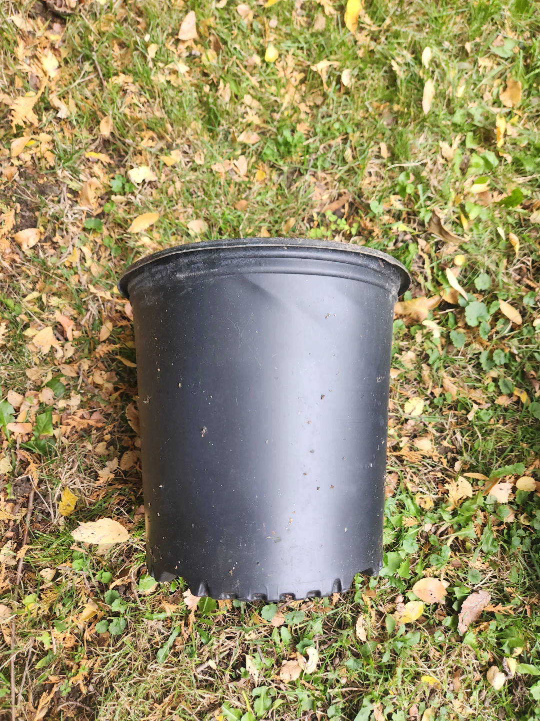 2 Gallon Black Plastic Plant Pot