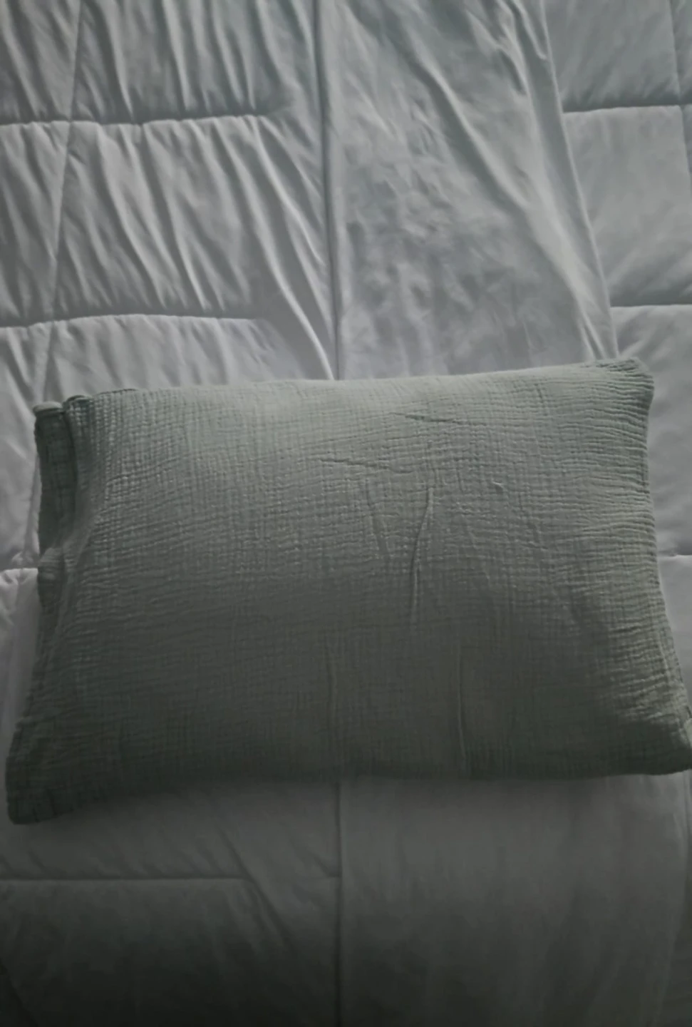 Toddler Pillow
