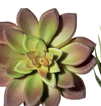 WANTED...Silk or artificial Plants - photo 4