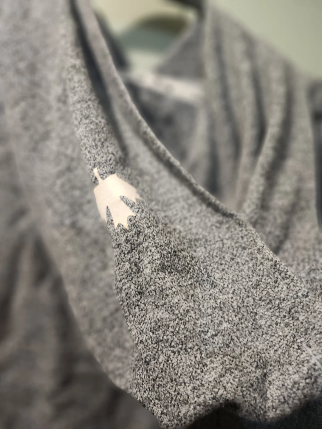 Roots Grey Hoodie - photo 3