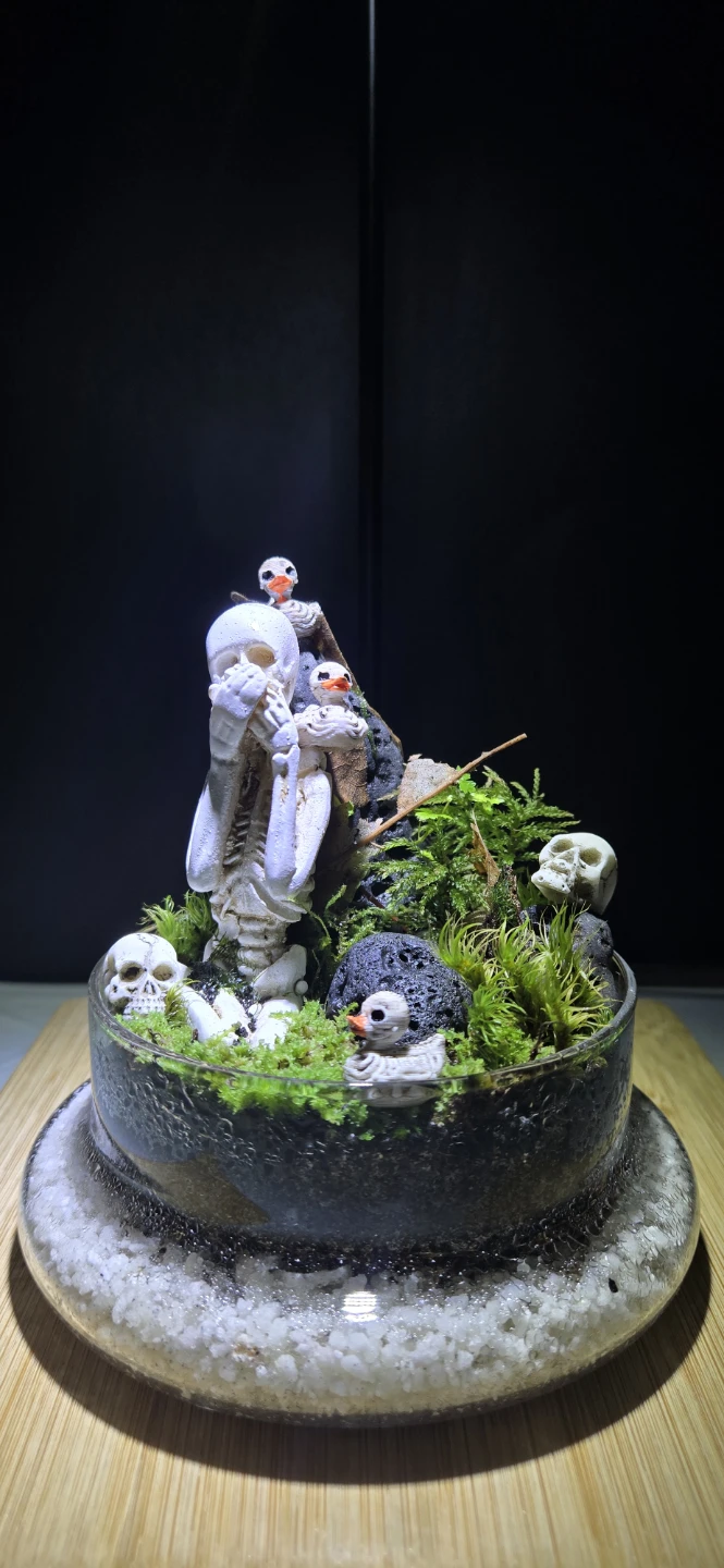 Skeleton terrarium decor - Halloween 🎃 gifts