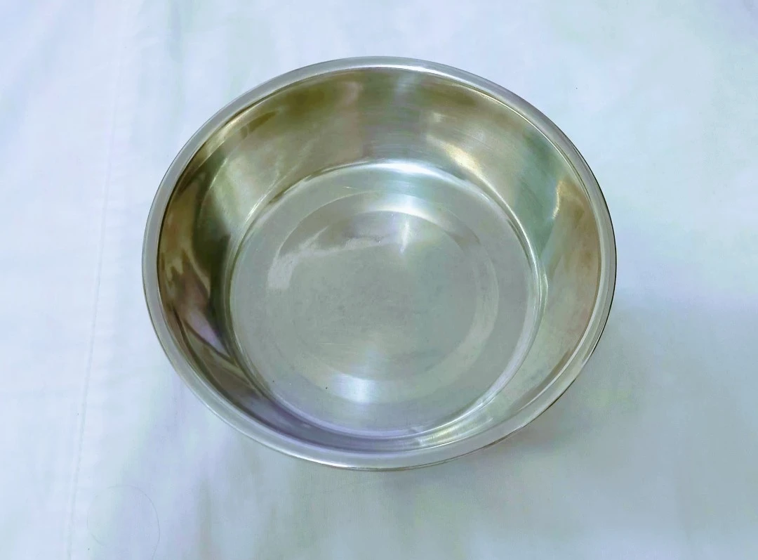 EveryYay Dining In Stainless Steel Diner Plate for Pets.