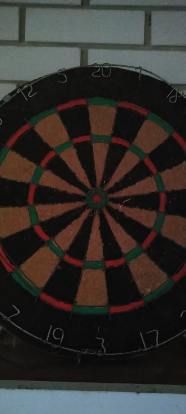 Standard Bristle Dartboard