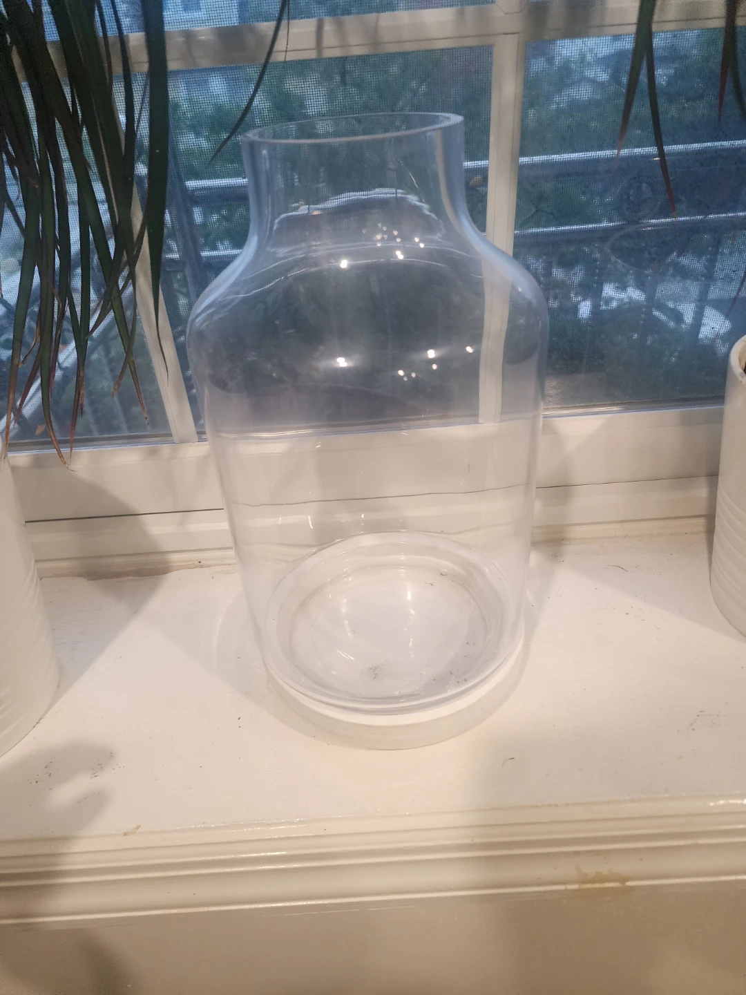 Ashland Glass Terrarium with Wood Base
