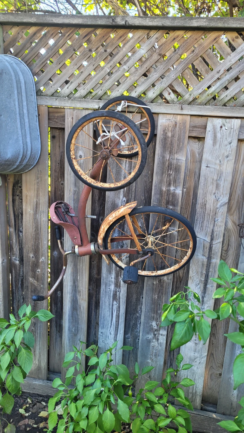 Old Antique bike - photo 3