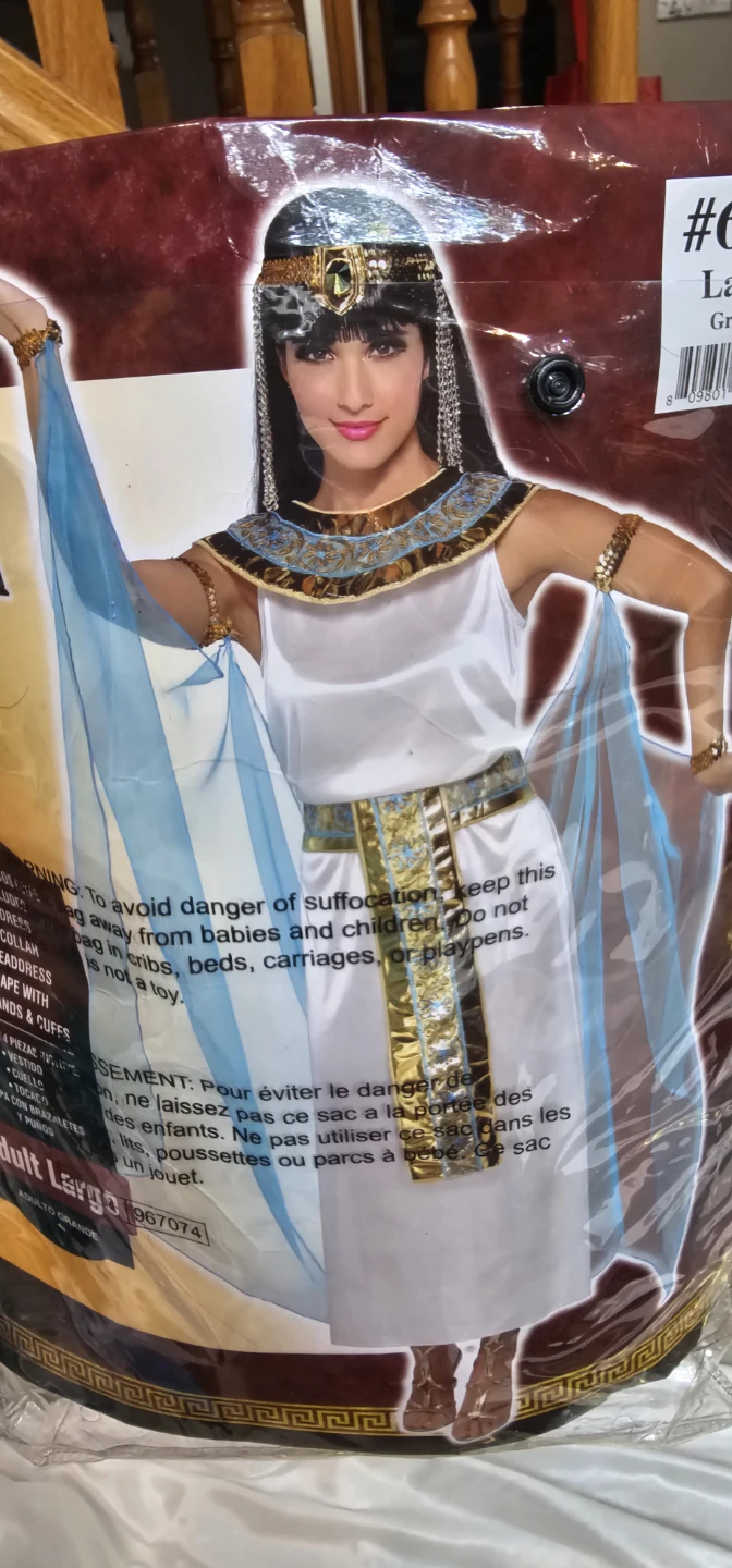 Adult Cleopatra Costume - Large - photo 3