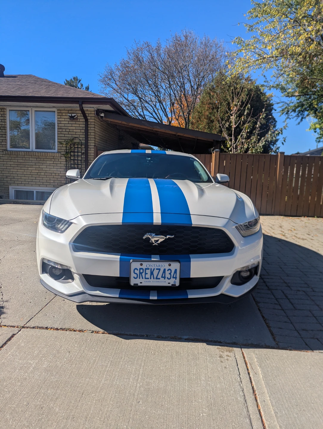 2017 Ford Mustang EcoBoost Premium Fastback - photo 5