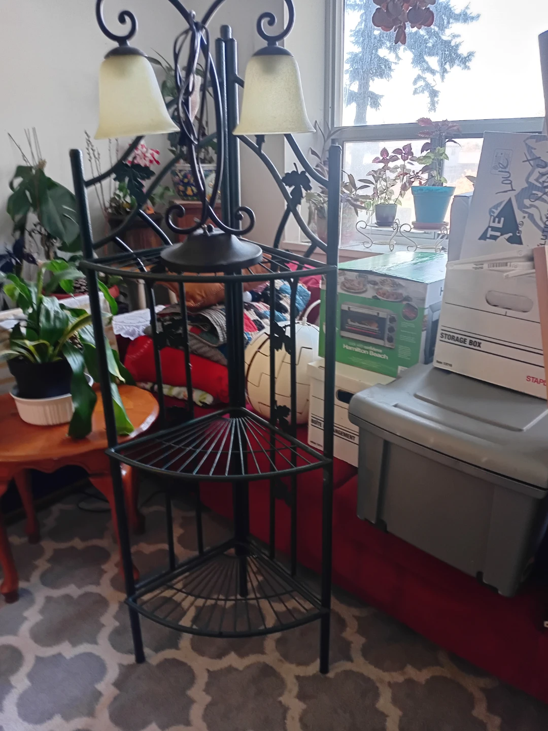 Plant stand and 2 way light